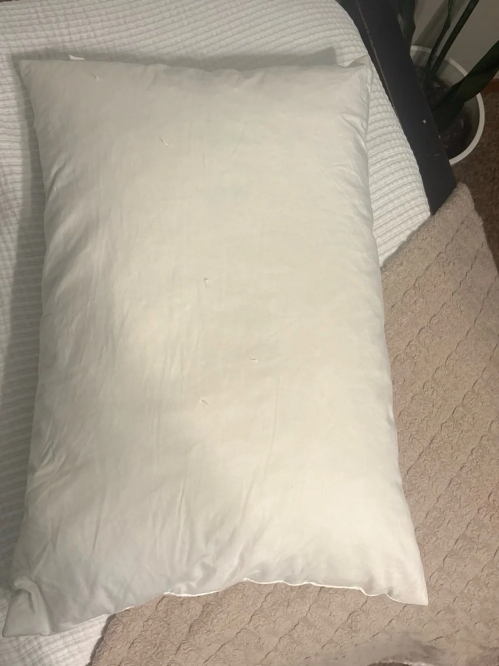 Pottery Barn Classic White Feather Pillow – Soft Cotton Cover (White)